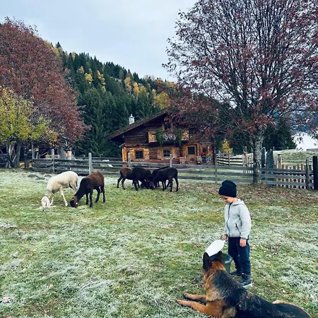 Schroeckhuette Chalet